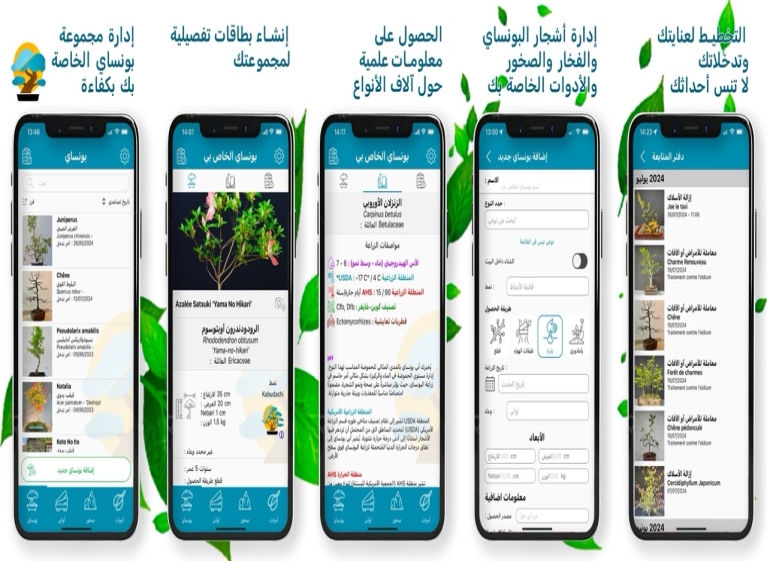Appy Bonsai: التطبيق الأساسي لعشّاق البونساي