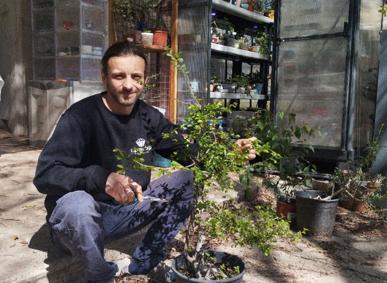 Stan, 738 bonsai en een passie geboren uit beproevingen