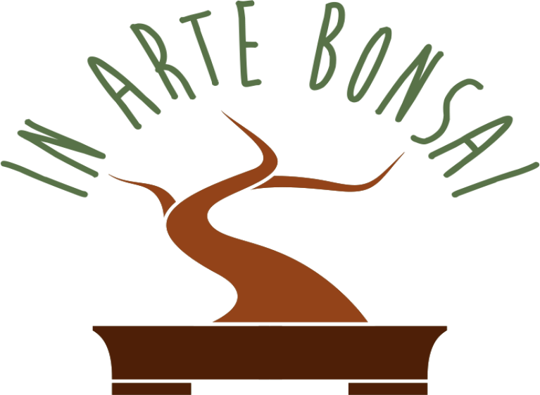 Un grande ringraziamento a Carmelo Bonanno e In Arte Bonsai!