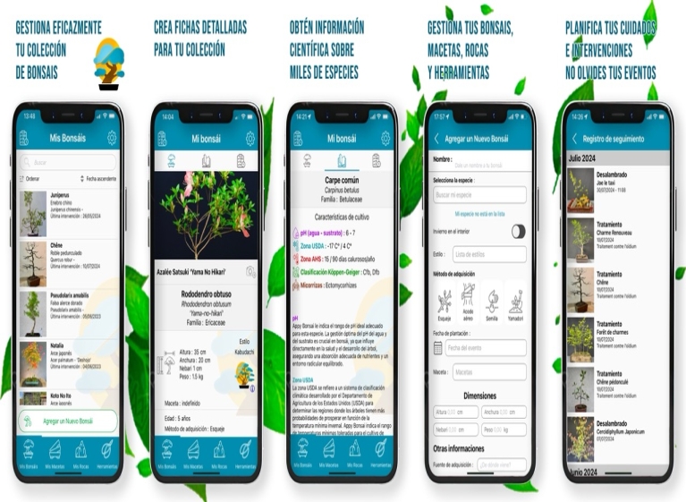Appy Bonsai: La aplicación imprescindible para los amantes del bonsái