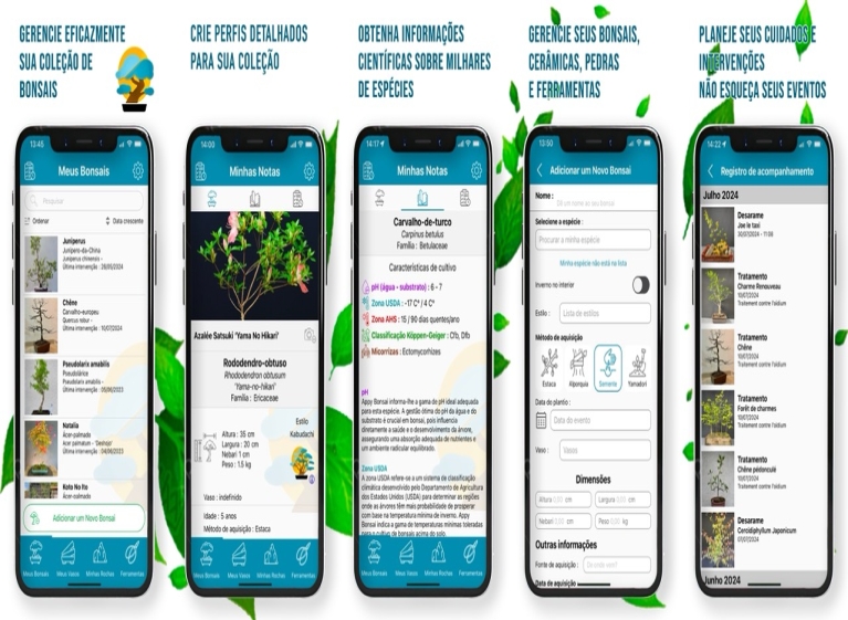 Appy Bonsai: O aplicativo essencial para os apaixonados por bonsai