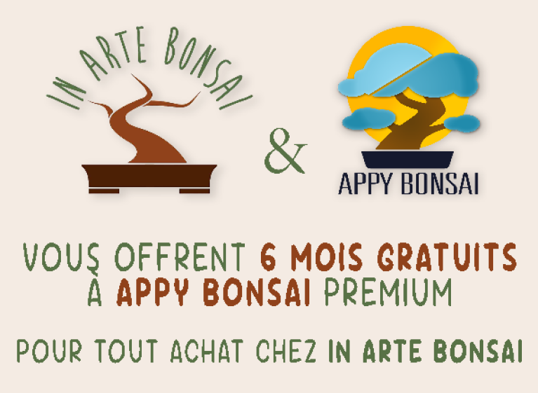 Appy Bonsai & IN ARTE BONSAI : Une alliance qui fait pousser la passion