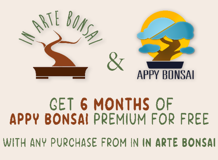 Appy Bonsai & IN ARTE BONSAI：情熱を育むパートナーシップ