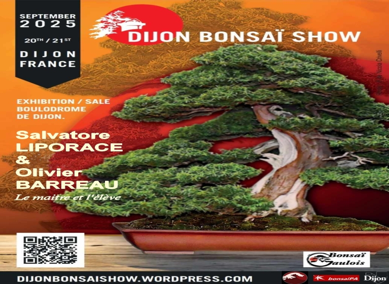 Appy Bonsai на Dijon Bonsaï Show 2025
