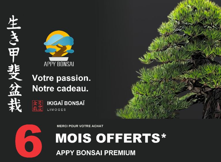 Ikigaï Bonsaï y Appy Bonsai colaboran para acompañar a los aficionados
