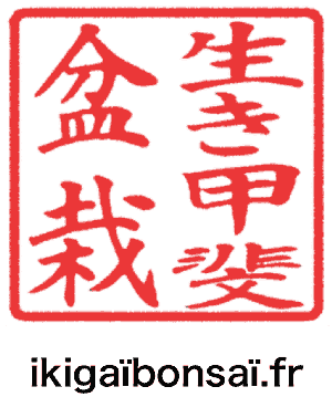 Ikigaï 标志