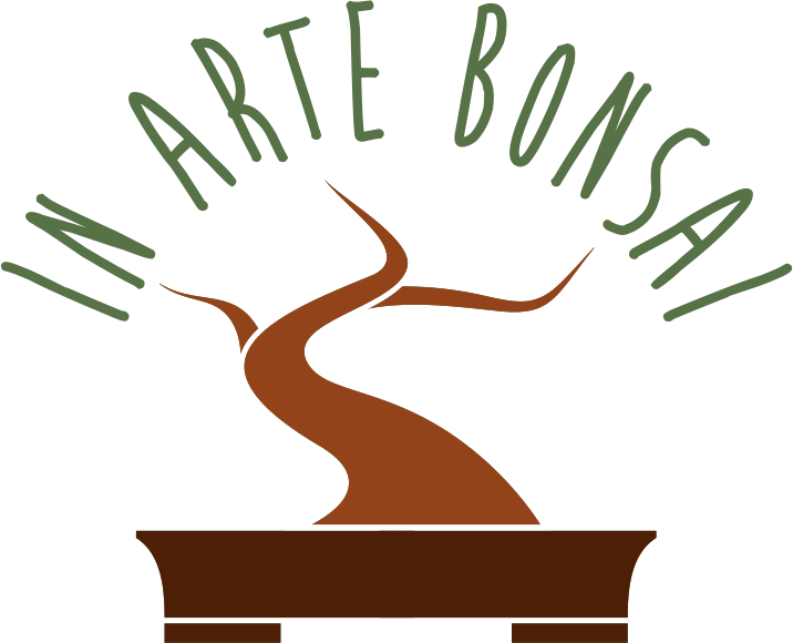 logo2
