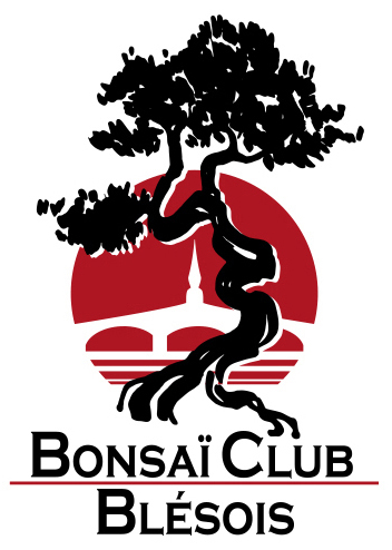 Bonsaï Club Blésois